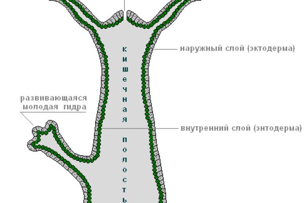 Гидра сайт в тор браузере ссылка