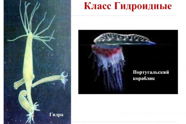 Даркнет кракен отзывы о платформе