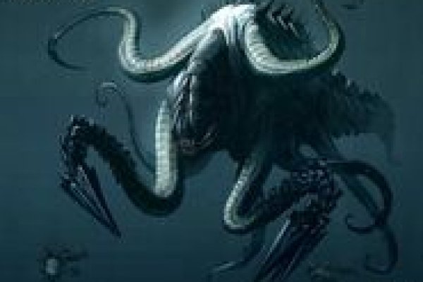 Kraken даркнет маркет