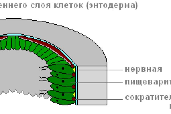 Что вместо гидры