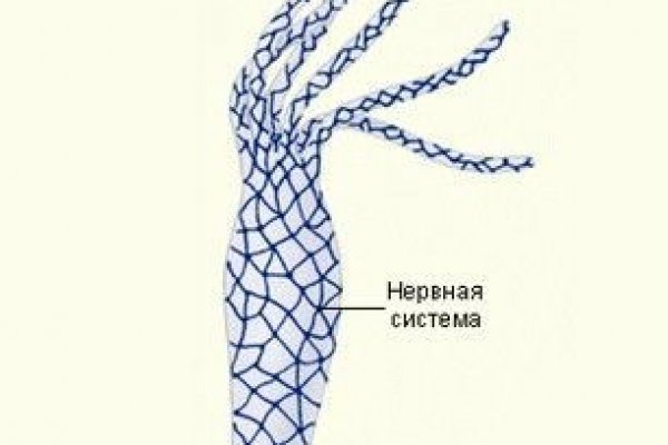 Ссылки зеркала на kraken