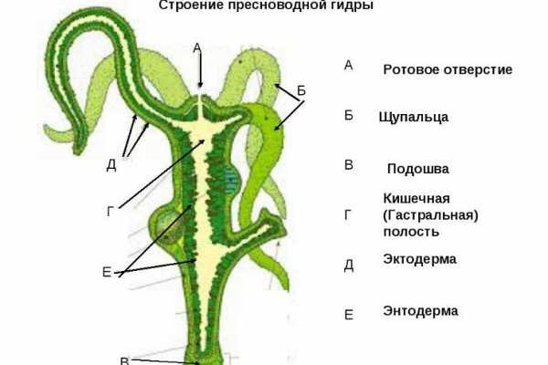 Кракен даркнет только через тор