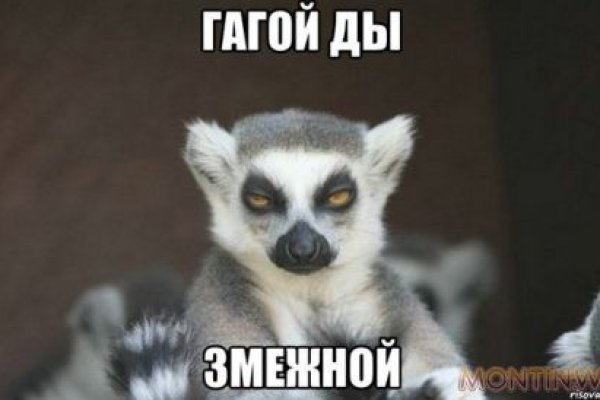 Кракен мониторинг ссылок kraken torion