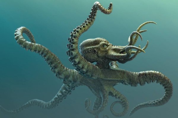 Kraken вывод денег